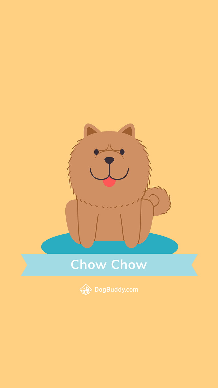 Woofpaper: Chow Chow HD phone wallpaper | Pxfuel