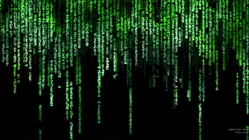 Matrix binary code HD wallpapers | Pxfuel