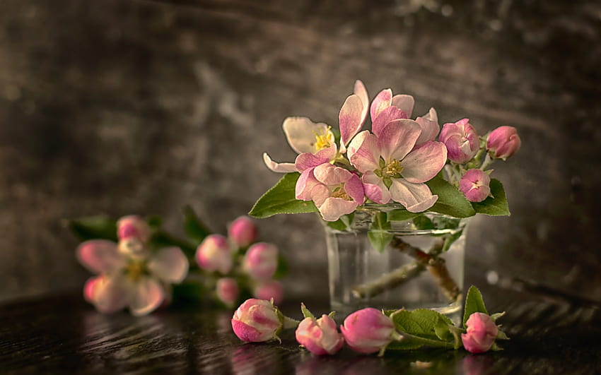 Macieira em um copo, Flores, Folhas, Vidro, Primavera papel de parede HD