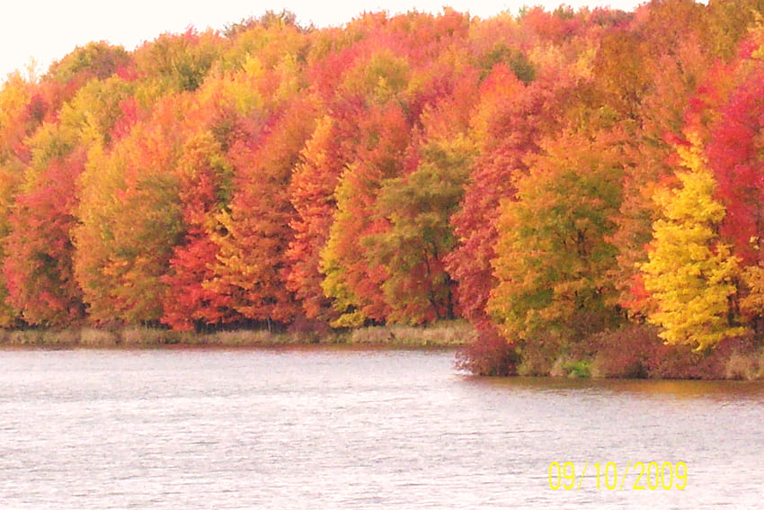 Crisp Autumn Day, by, autumn, a, lake HD wallpaper