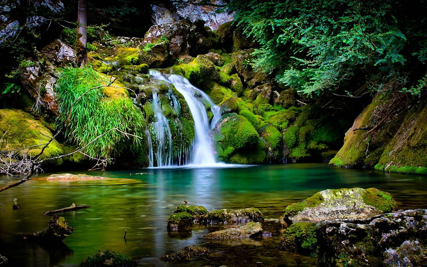 Woda dżungli. Piękny panoramiczny i tło Naruto, woda natury Tapeta HD