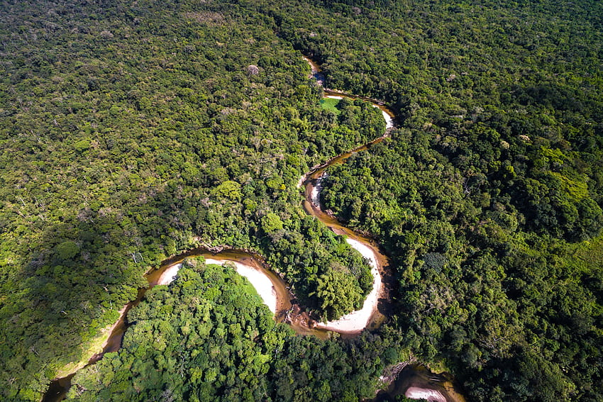 Brezilya Amazon Ormanı Doğa Ormanları nehir Yukarıdan, Amazon Yağmur Ormanları HD duvar kağıdı