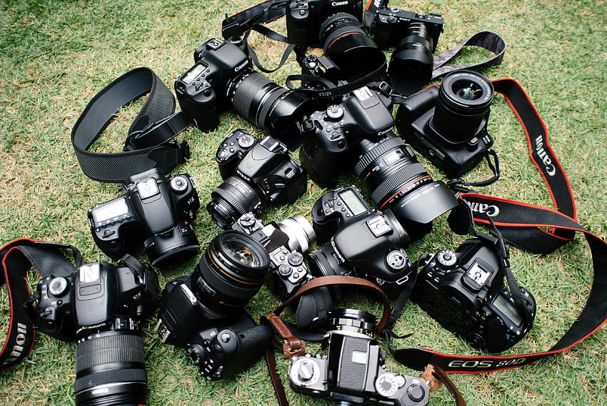 / varias cámaras réflex digitales canon con correas esparcidas sobre un suelo de hierba, cámaras réflex digitales canon sobre hierba fondo de pantalla