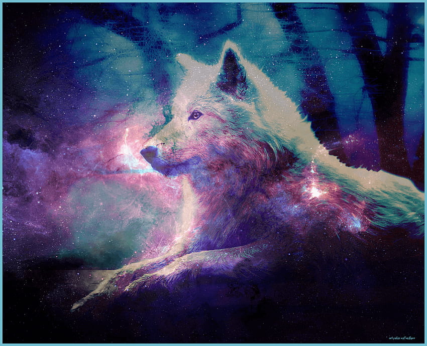 Cute Galaxy Wolf - Top Cute Galaxy Wolf - Cute Galaxy Wolf, Wolf and Fox HD wallpaper