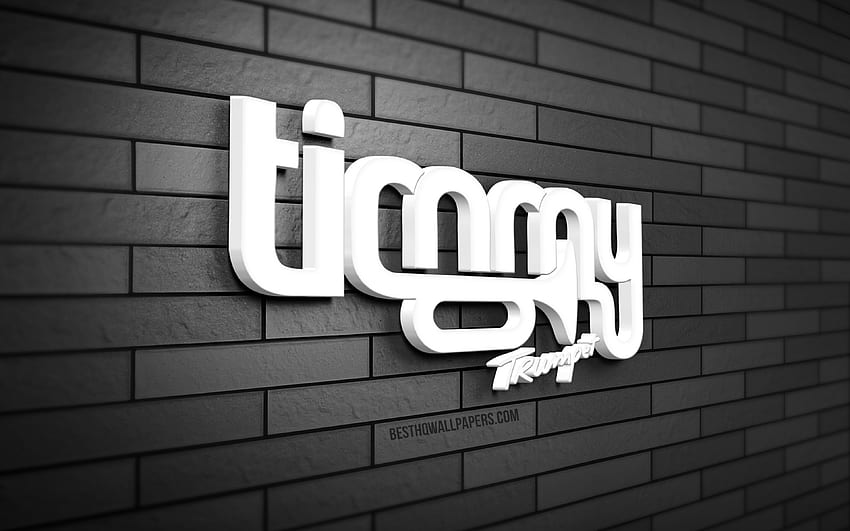Timmy Trumpet 3D logo, , Timothy Jude Smith, gray brickwall, creative, music stars, Timmy Trumpet logo, australian DJs, 3D art, Timmy Trumpet HD wallpaper