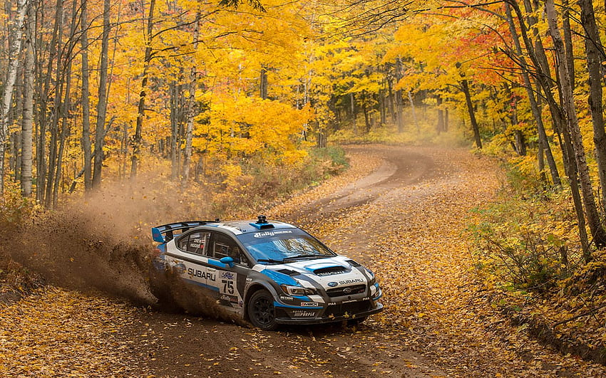 Perfection” jako David Higgins, Craig Drew świętują niepokonany sezon, Rajd Subaru Tapeta HD