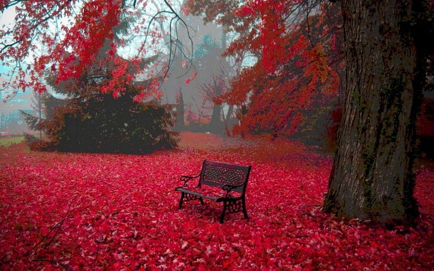 Red Nature , Beautiful Red HD wallpaper | Pxfuel