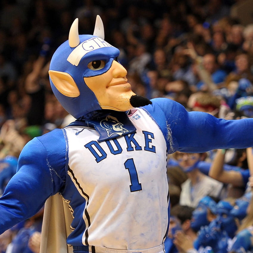 Duke blue devils, mascot, basketball iPad Air HD phone wallpaper | Pxfuel
