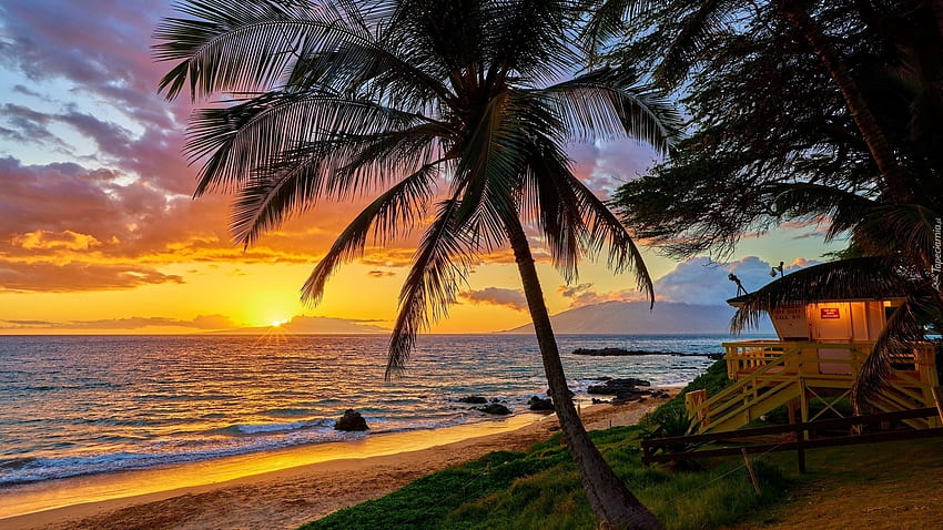 หาดฮาวาย ฤดูร้อน พระอาทิตย์ตก ต้นปาล์ม วันหยุด วอลล์เปเปอร์ HD