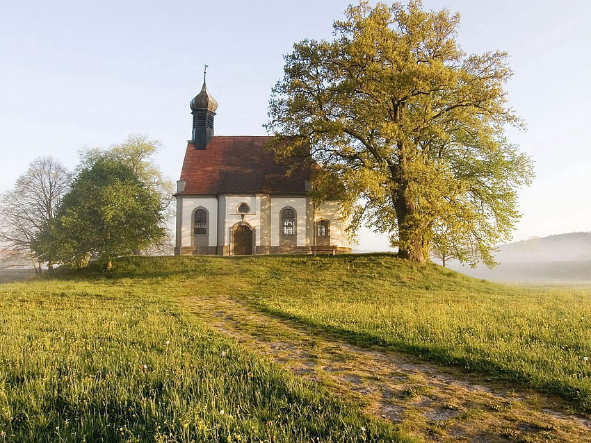 Natur, Bäume, Poljana, Lichtung, Kapelle, Deutschland, Bayern HD-Hintergrundbild