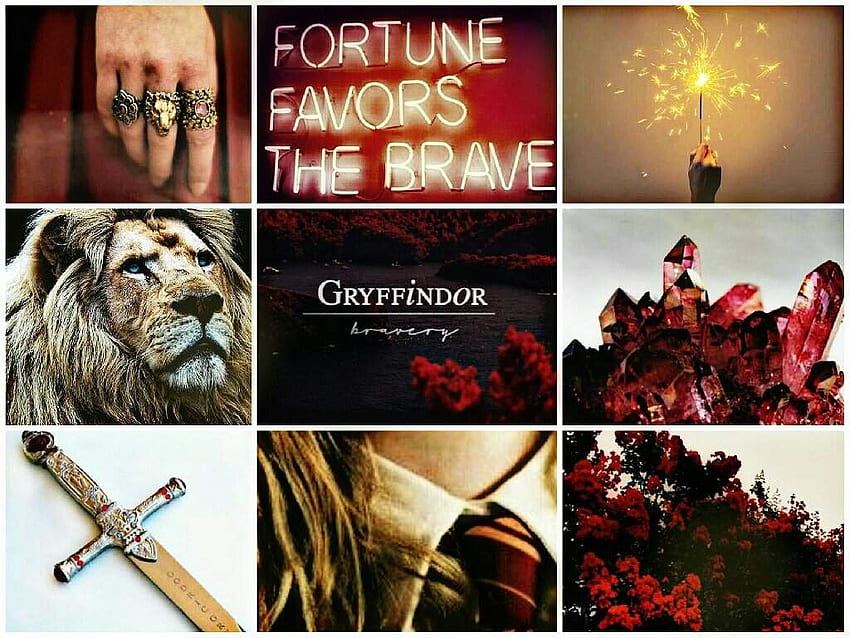 Gryffindor Aesthetics , Gryffindor Laptop Hd Wallpaper 