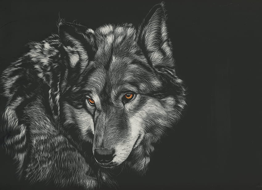 Wolves Black and white Head animal Painting Art HD wallpaper