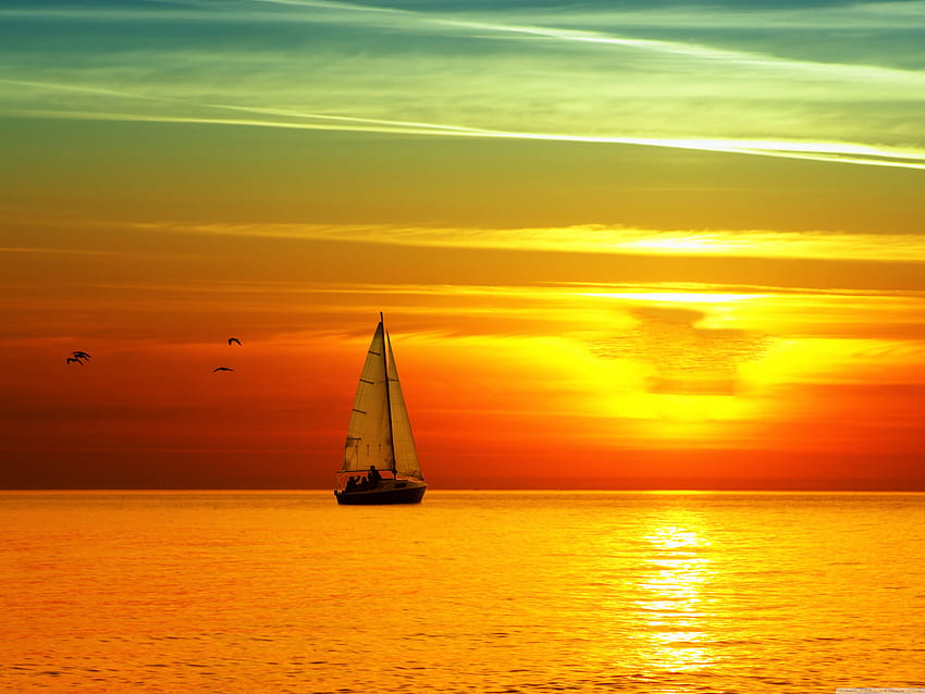 Sailing Boat At Sunset Ultra Background for : Multi Display, Dual Monitor : Tablet : Smartphone, Sailboat Sunset HD wallpaper