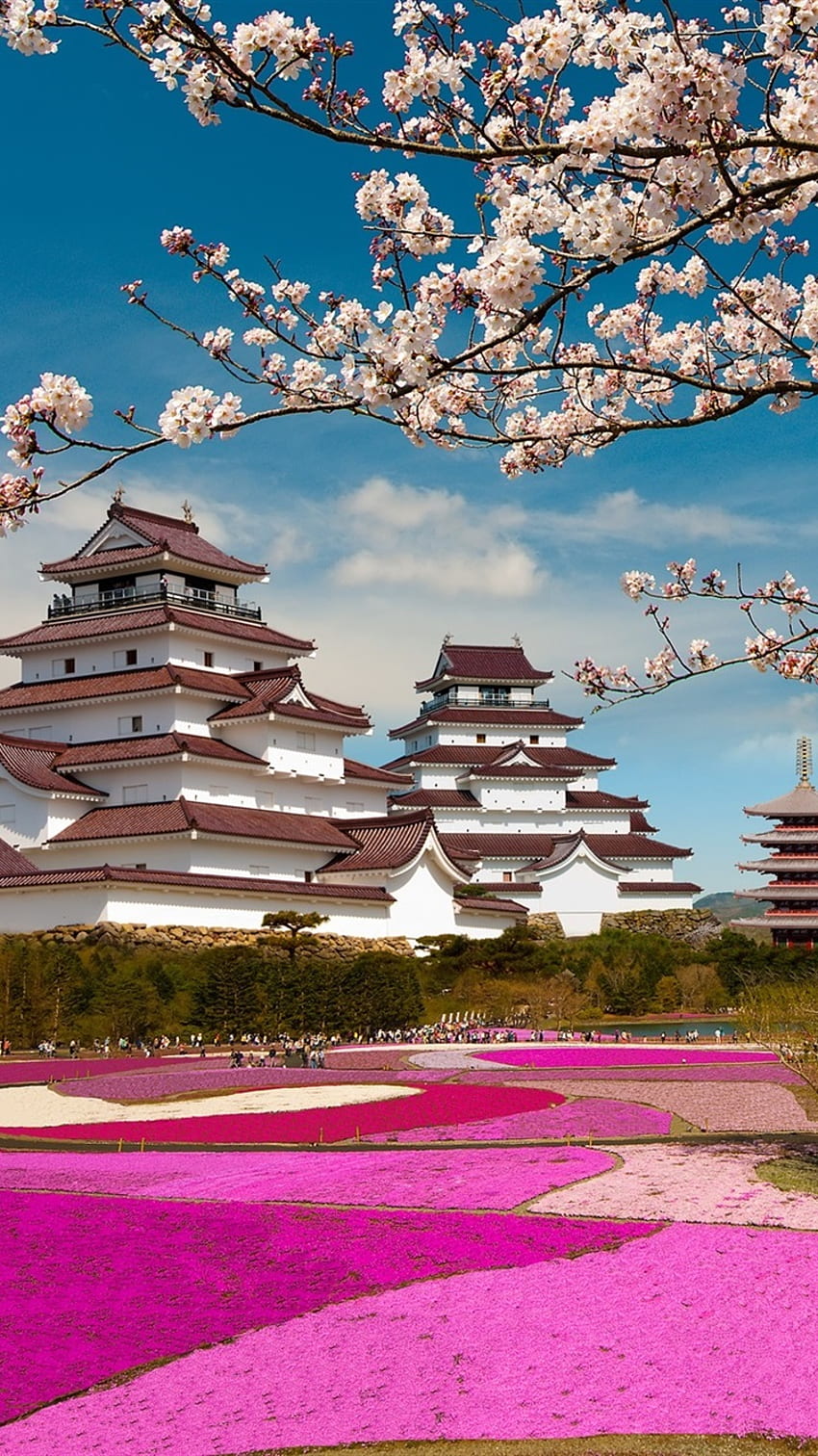 iPhone Fuji Mount, Japan, Tempel, Sakura - Cherry Blossom Chromecast Hintergrund HD-Handy-Hintergrundbild