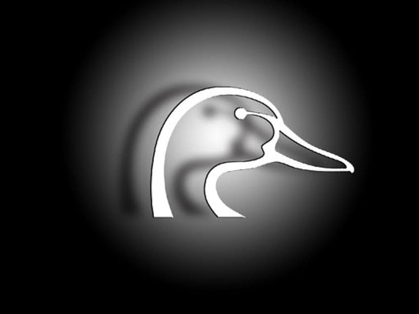 Wasservögel, Drake-Logo HD-Hintergrundbild