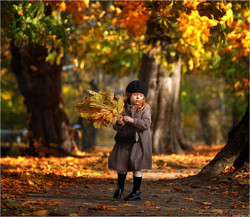 walking through woods, leaves, walking, trees, nature, girl, forest HD wallpaper