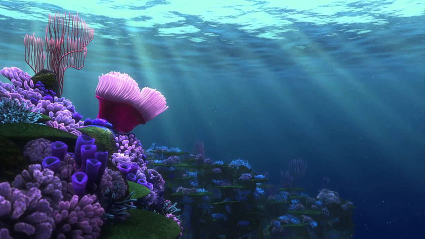 Finding Nemo - Finding Nemo Ocean Background -, Cute Nemo HD ...