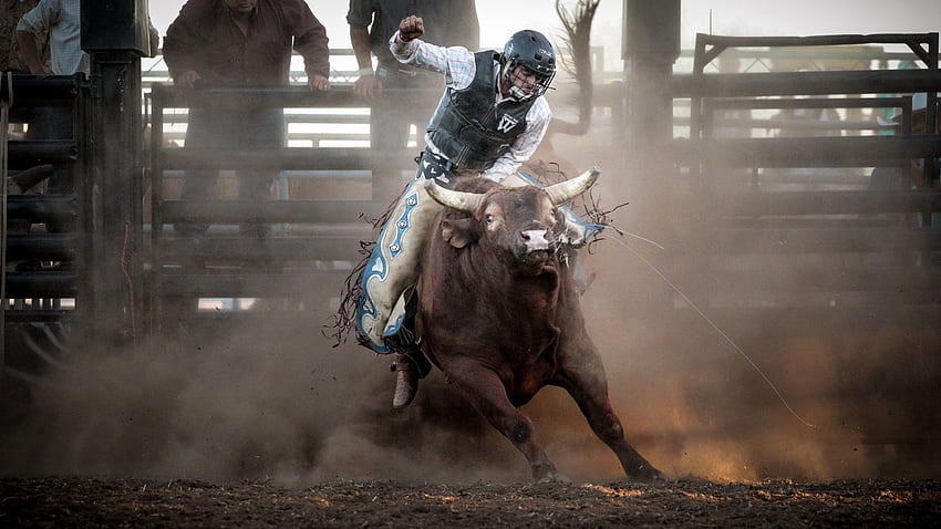 Bull Riding Best Of Pbr สัปดาห์นี้ - ทางซ้ายของ The Hudson วอลล์เปเปอร์ HD
