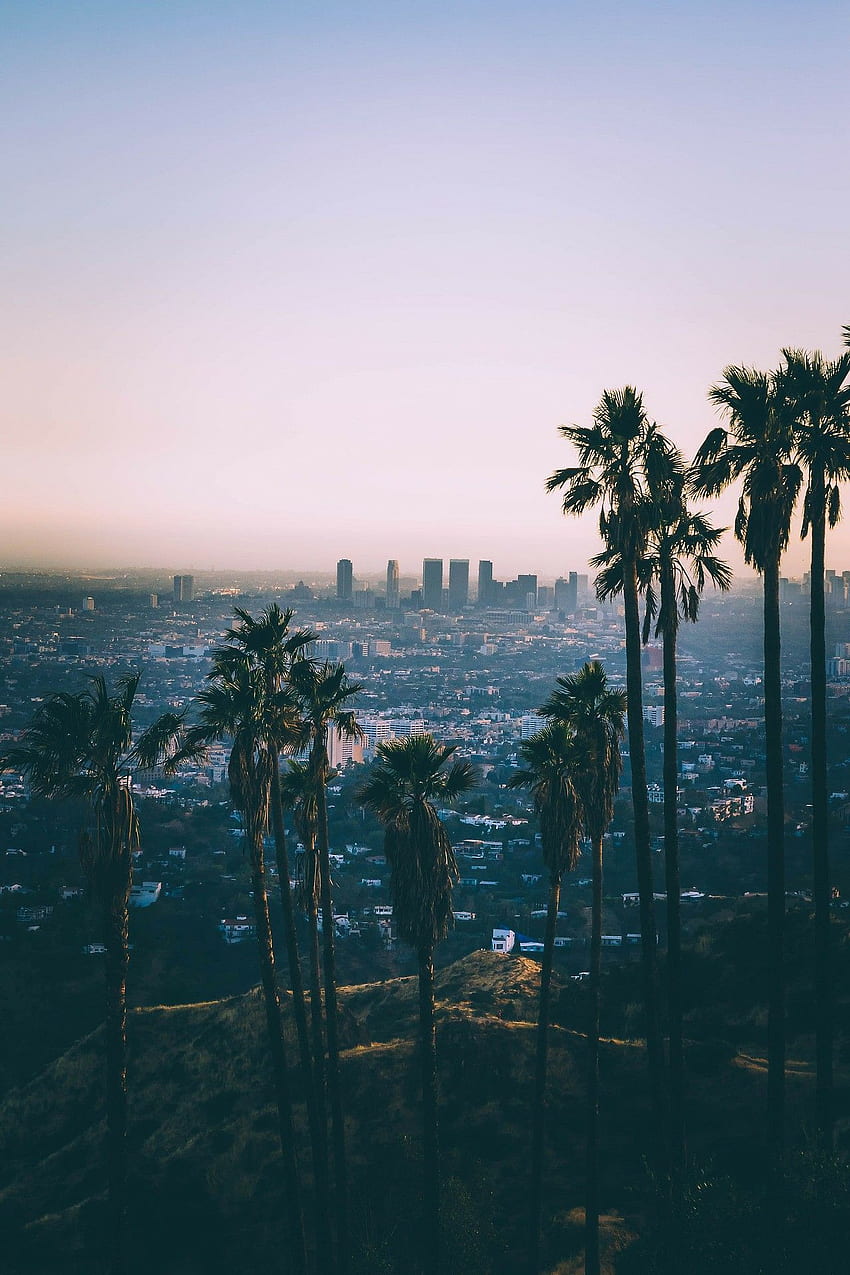 街の夕日。 2019 年の冒険。カリフォルニア旅行、ロス、ハリウッド カリフォルニア HD電話の壁紙