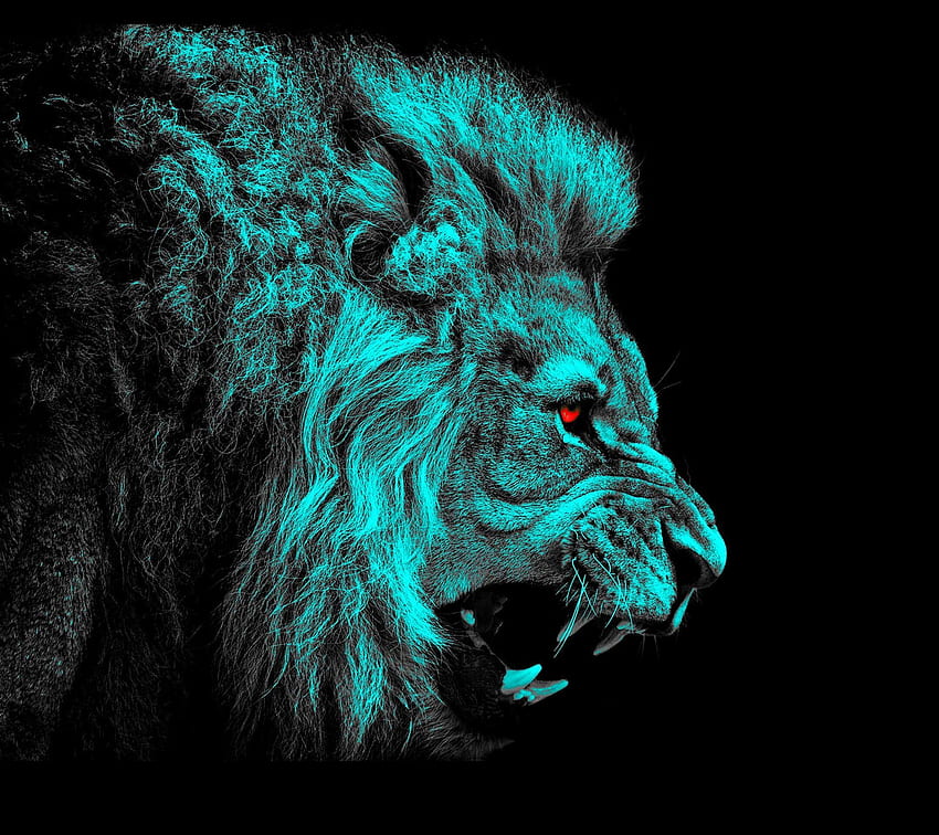 Your Pinterest likes, Lions HD wallpaper