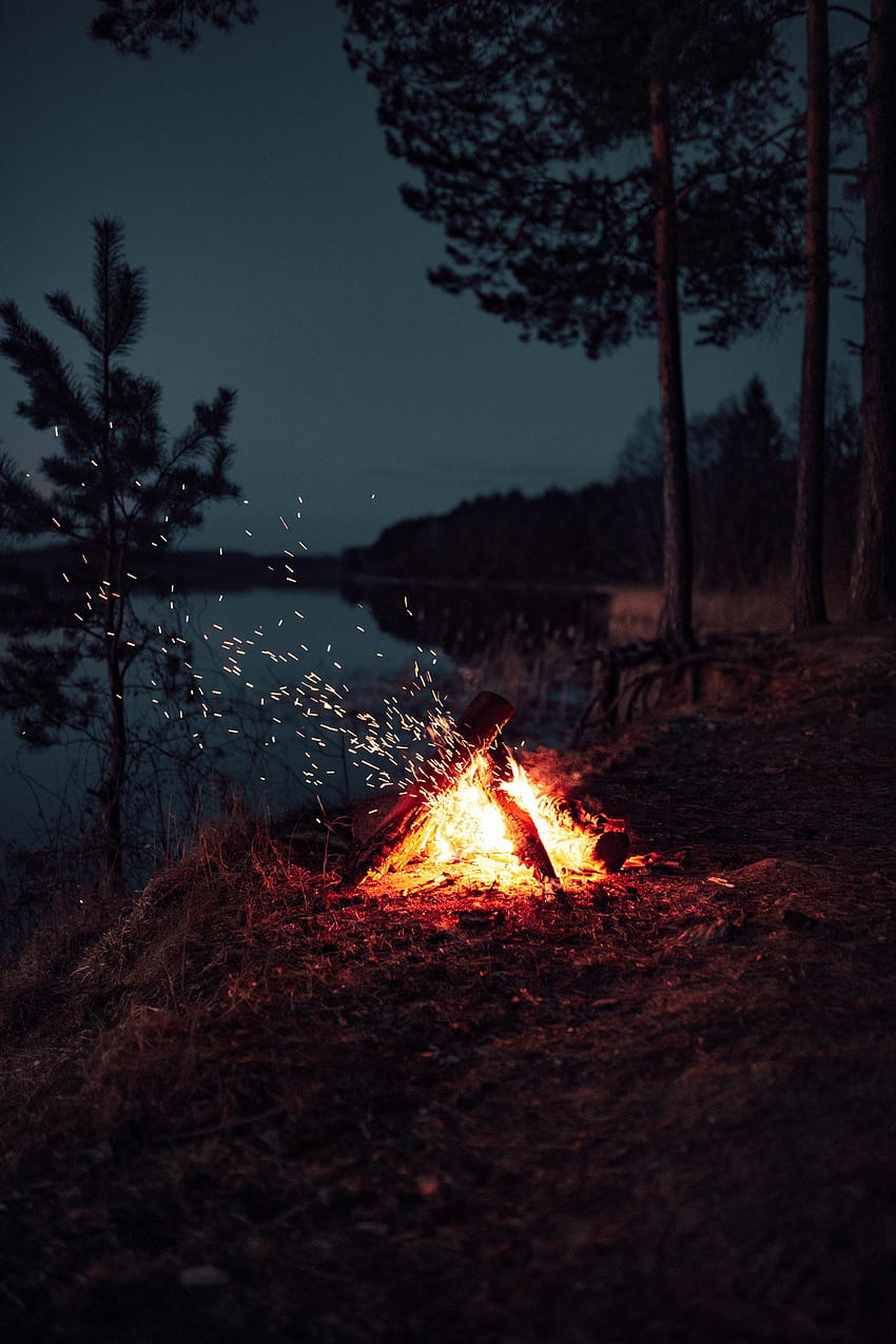 たき火, 夜, 暗い, 火花, キャンプ場, キャンプ HD電話の壁紙