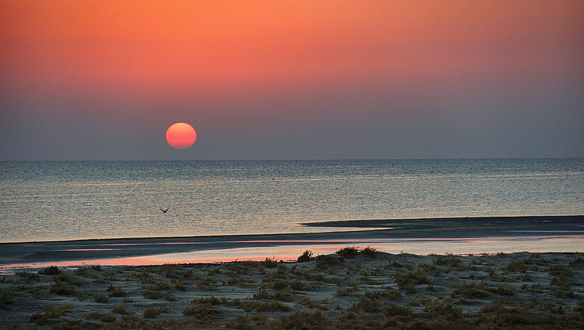 Red Sea - Egypt, Egypt, Red Sea, sunset, beach HD wallpaper