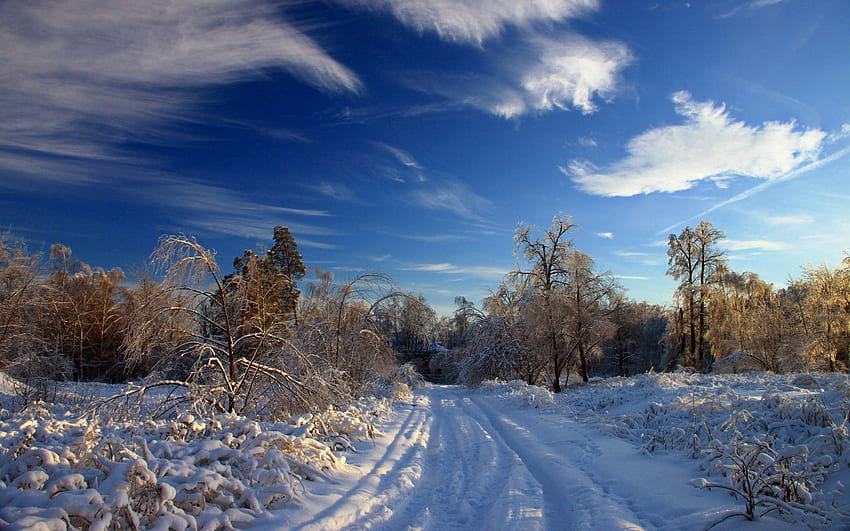 Зима, природа, дървета, небе, облаци, сняг, храст, път, преспи, следи, ясно HD тапет