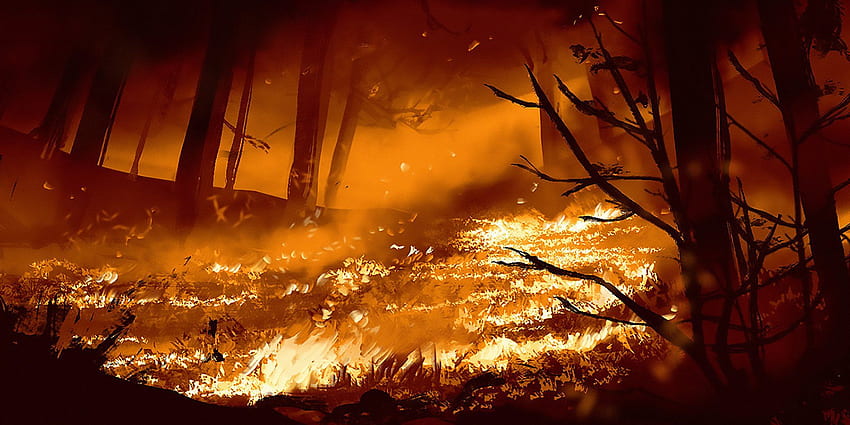 Forest Wildfires 4K 05, Stock Video - Envato Elements