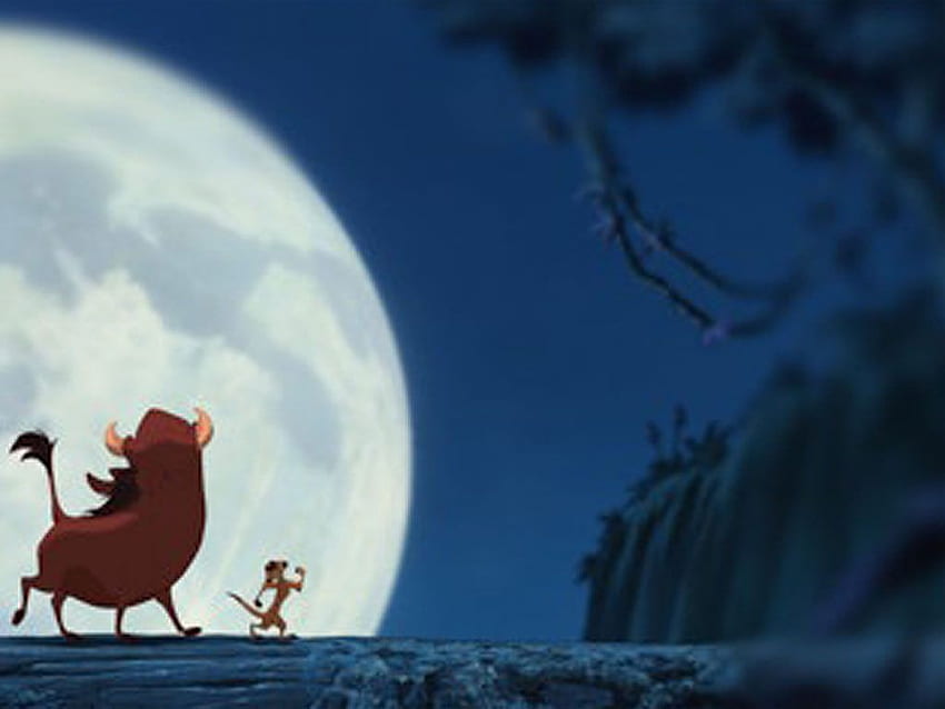 Disney Company, Timon and Pumbaa HD wallpaper | Pxfuel