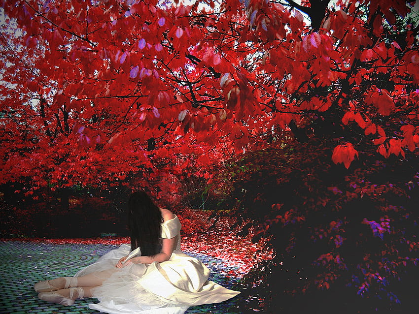 Ballerina, red, trees, girl, silk HD wallpaper | Pxfuel