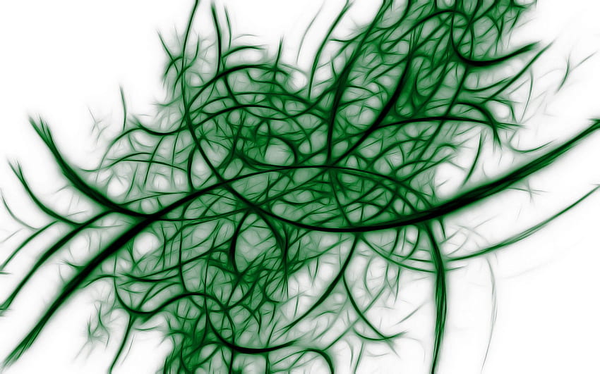 Abstract, Grid, Shadow, Plexus, Seaweed, Algae HD wallpaper