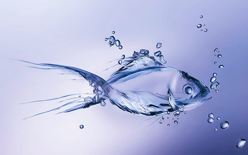 Water . Water colorless fish. , Pisces Water HD wallpaper