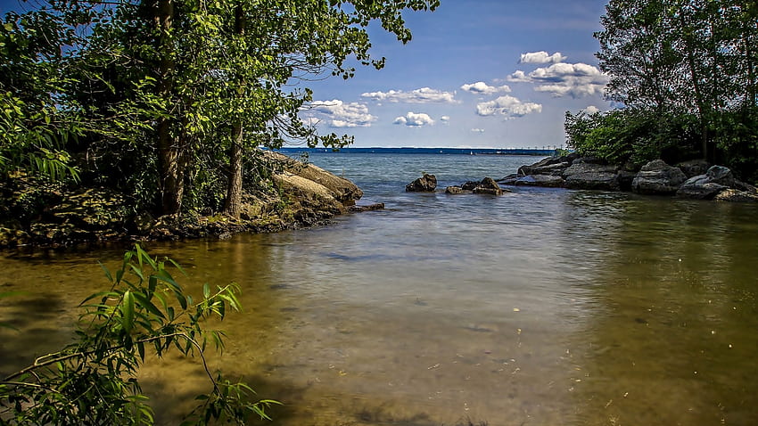 Jezioro, Drzewa, Rosliny, Kamienie HD wallpaper
