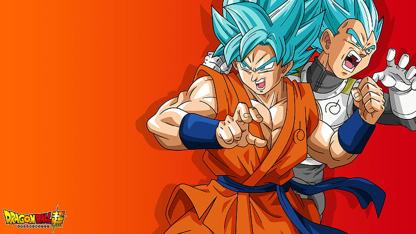  Goku y Vegeta (Super Saiyan God, DBS) U 16: 9 HD fondo de pantalla |  combustible