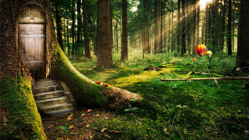 Enchanted Forest in jpg format for, Dark Enchanted Forest HD wallpaper