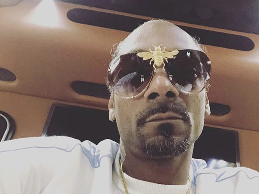 Internet Star Celina Powell Tries To Expose Snoop Dogg In Cheating, Snoop Dogg Dope HD wallpaper