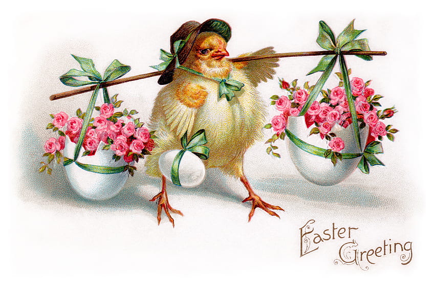 Pasqua, animale, pollo, bouquet, uova, bello, rosa, vacanza, fiore, rose, arte, bello, conchiglia, bello, disegno, fresco, fiori, bello Sfondo HD