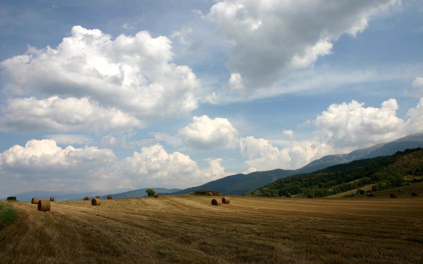 Pyrenees, fields, sky, nature HD wallpaper