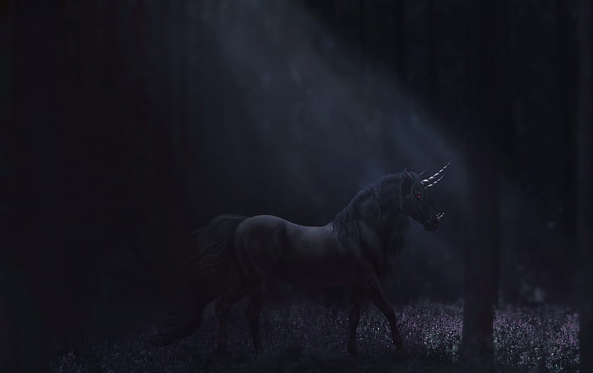 Unicorn, night, art, bernuda, dark, ibbeltje, fantasy, luminos, forest HD wallpaper