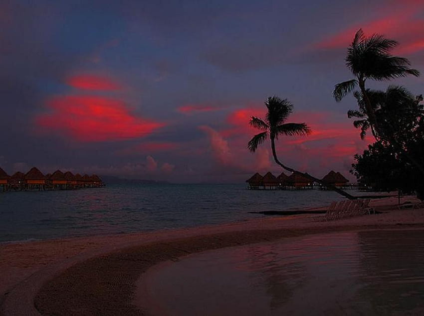 Paraíso encontrado, palmeras, cabañas, rojo, cielo, océano, playa. fondo de pantalla