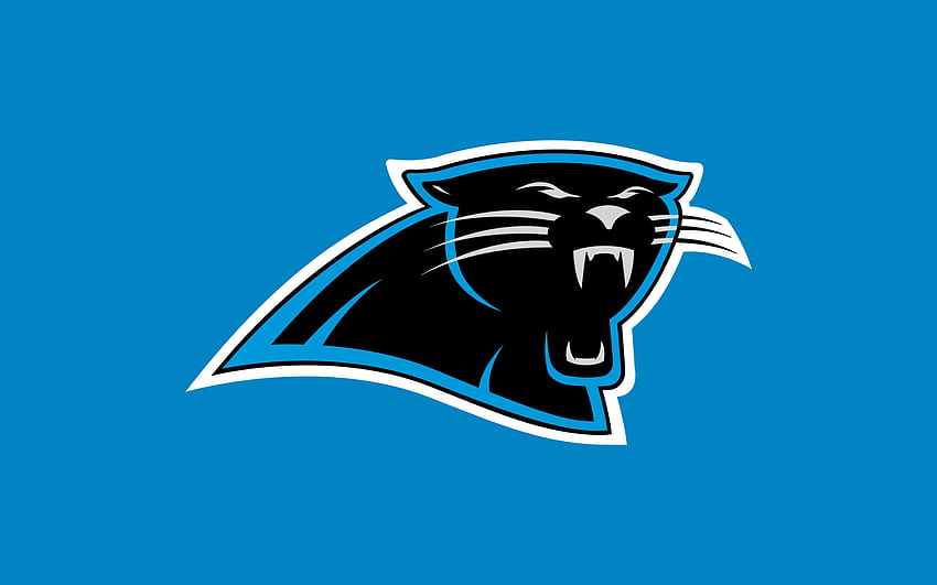 Carolina Panther, logo, 3 boyutlu, profesyonel HD duvar kağıdı
