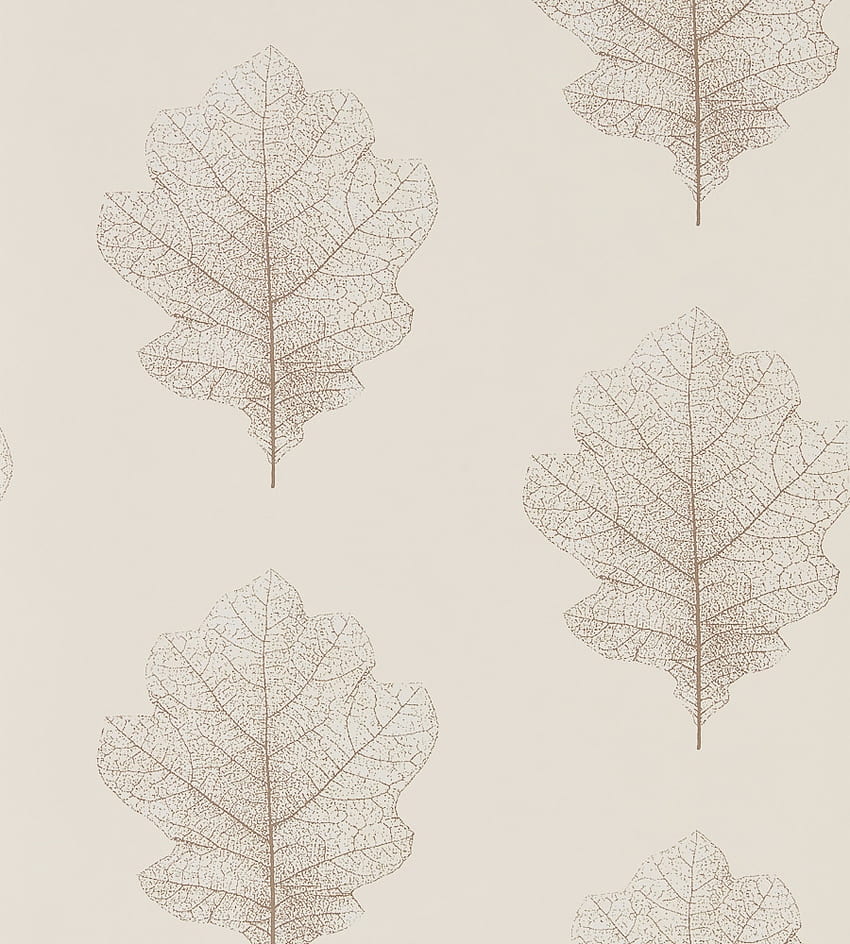 Sanderson - Oak Filigree, Oak Leaf HD phone wallpaper