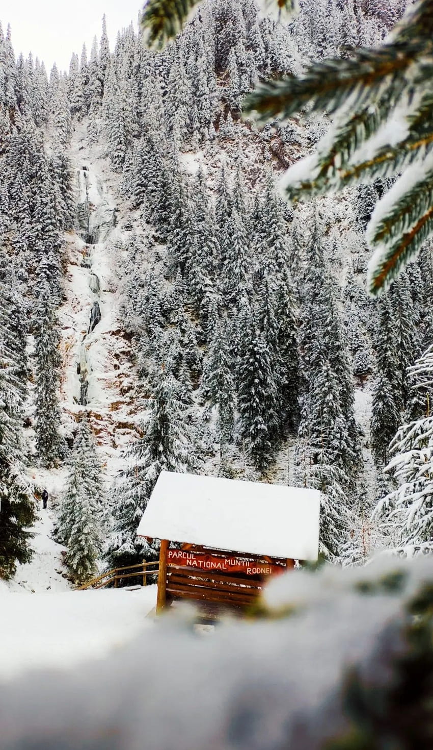 Iarna, munte, zăpadă HD phone wallpaper
