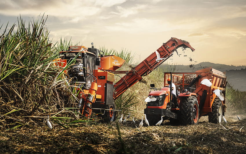 Volvo Penta, sugarcane harvester, agricultural machinery, sugarcane, harvester, new Volvo Penta, Volvo HD wallpaper