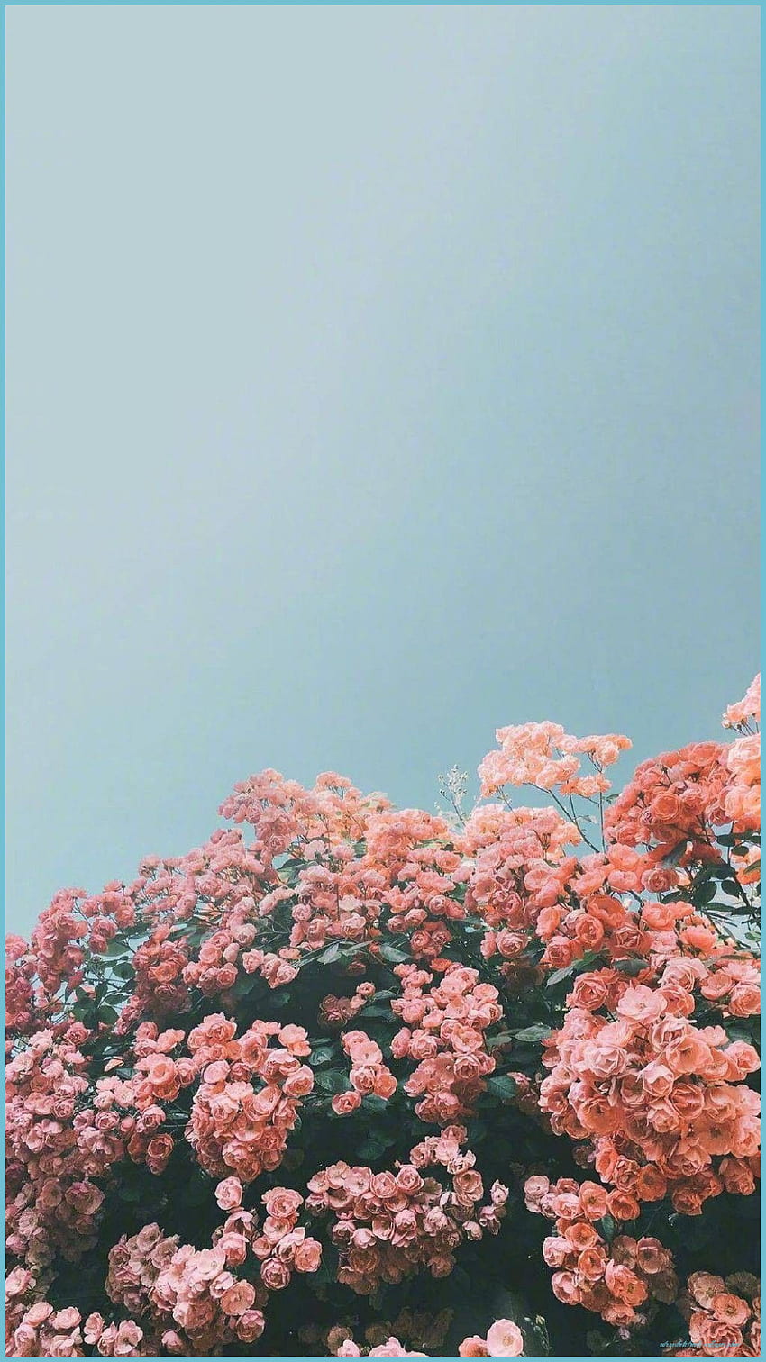 Trendy Summer IPhone - Top Trendy Summer IPhone - Cute Aesthetic Trendy iPhone, Cute Summer Quotes HD phone wallpaper