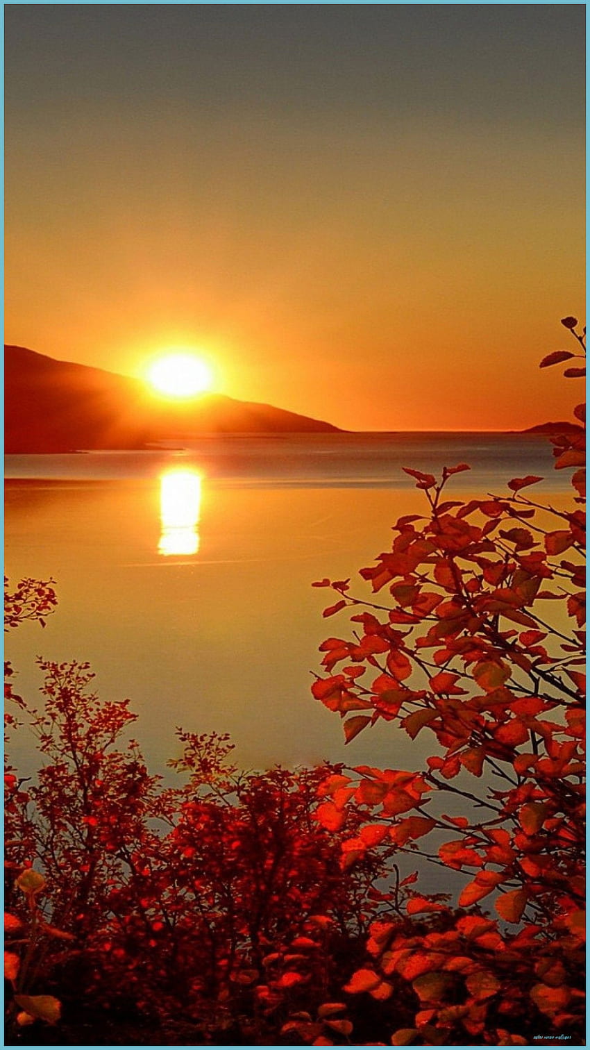 Sunrise Nature IPhone - สุดยอด Sunrise Nature IPhone - พระอาทิตย์ขึ้นธรรมชาติ, พระอาทิตย์ขึ้นสีส้ม วอลล์เปเปอร์โทรศัพท์ HD