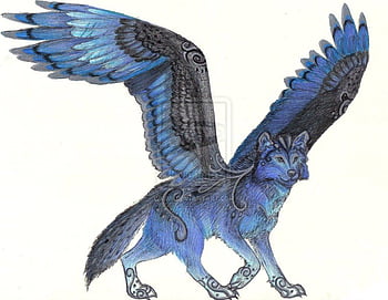 Winged Wolf Wallpapers  Top Free Winged Wolf Backgrounds  WallpaperAccess