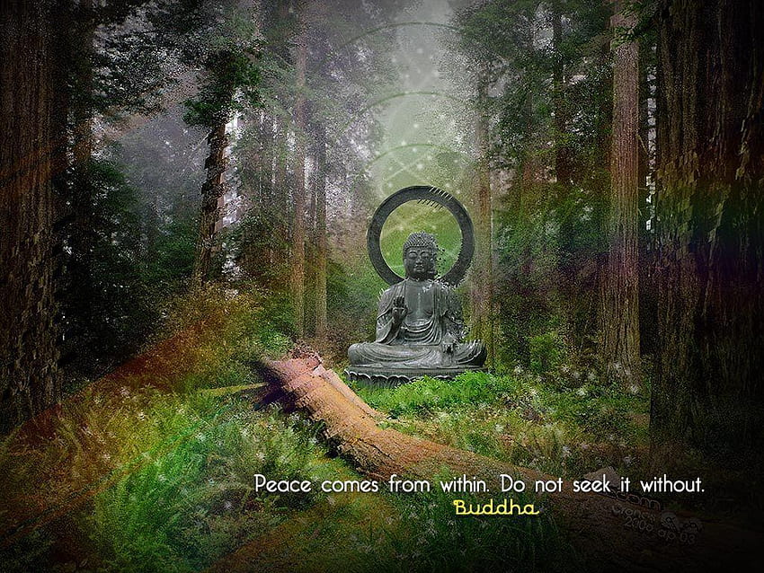 Gautama Buddha, Nature Buddha HD wallpaper
