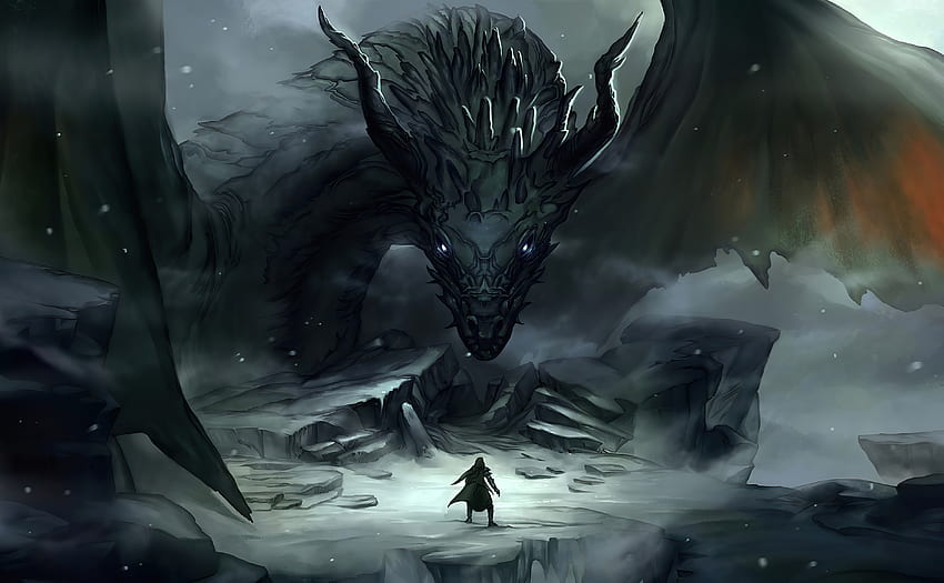 Dragon master and dragon, art, fantasy HD wallpaper