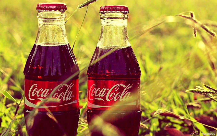 bottles, grass, drink, Coca Cola, plant, produce, land plant, flowering plant, soft drink, carbonated soft drinks, cola HD wallpaper